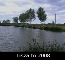 Tisza tó 2008